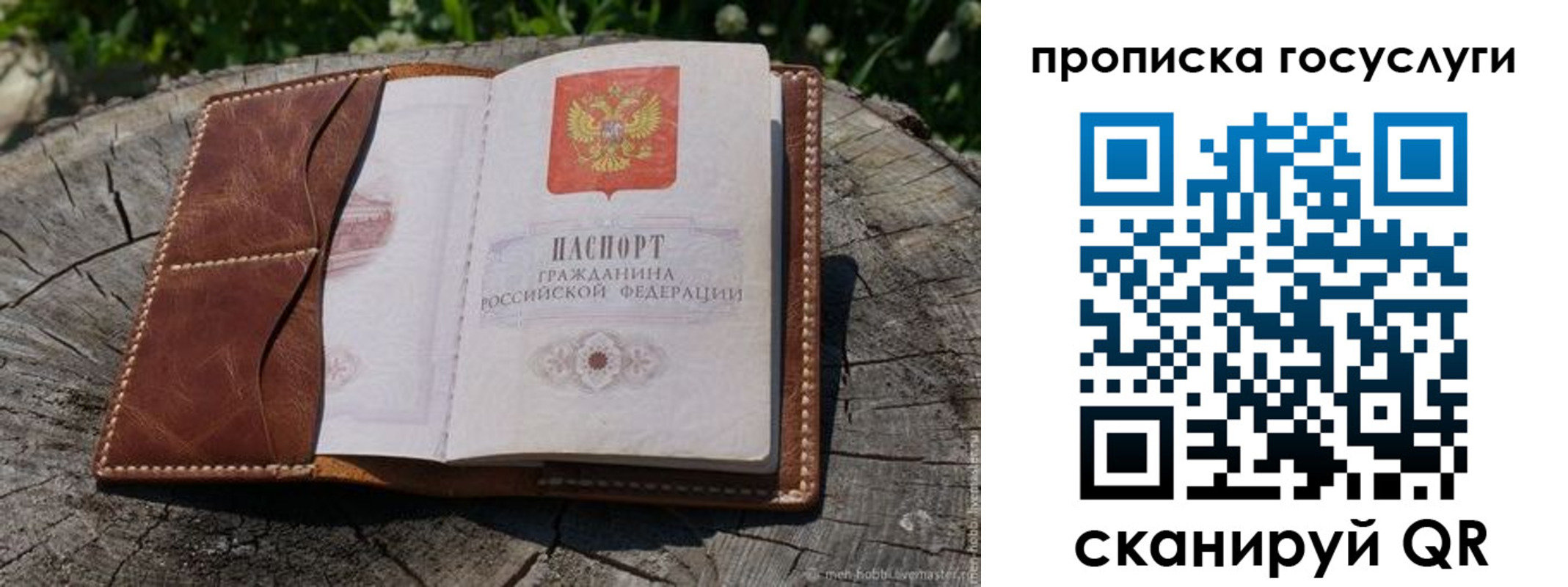 прописка для школы в Азове